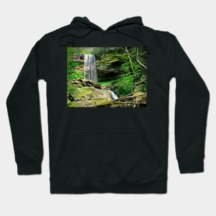 In Its Glory Hoodie